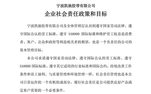 企业社会责任政策、目标